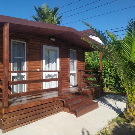 Guesthouse Mira Gagra Exterior photo