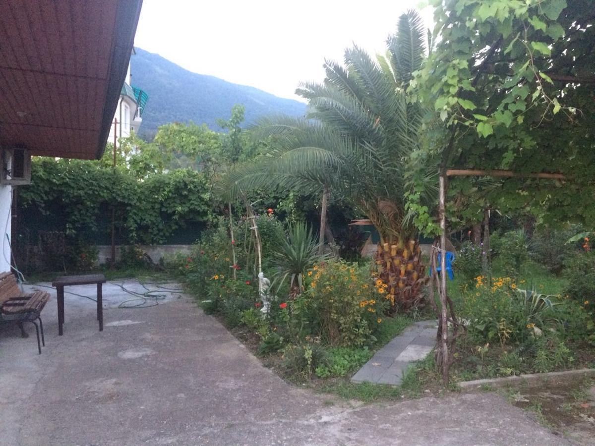 Guesthouse Mira Gagra Exterior photo